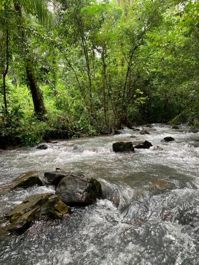 Forestel Homestay Kohkood ฟอเรสเทล โฮมสเตย์ เกาะกูด Ban Khlong Chao Exterior photo