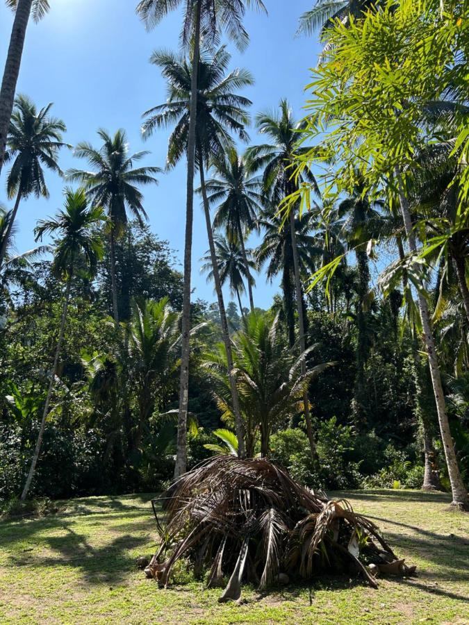 Forestel Homestay Kohkood ฟอเรสเทล โฮมสเตย์ เกาะกูด Ban Khlong Chao Exterior photo