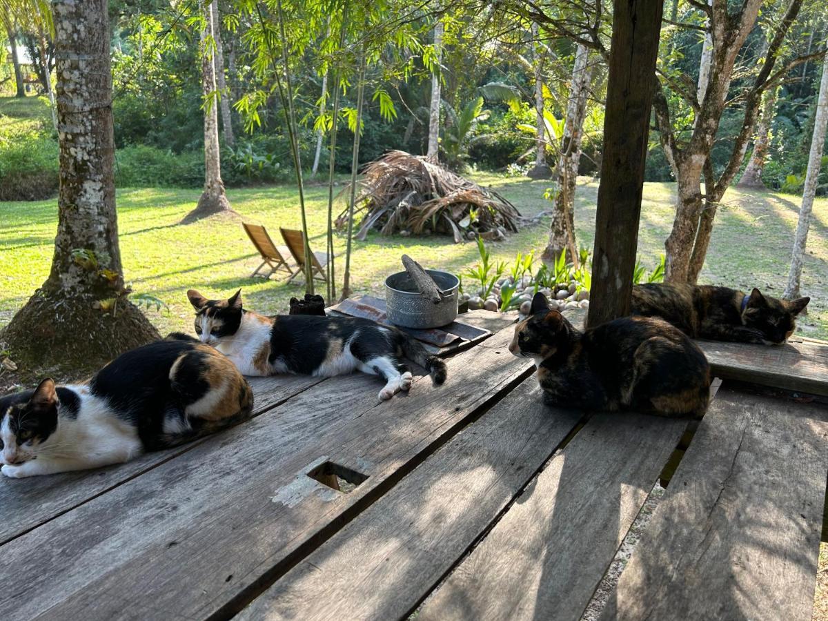Forestel Homestay Kohkood ฟอเรสเทล โฮมสเตย์ เกาะกูด Ban Khlong Chao Exterior photo