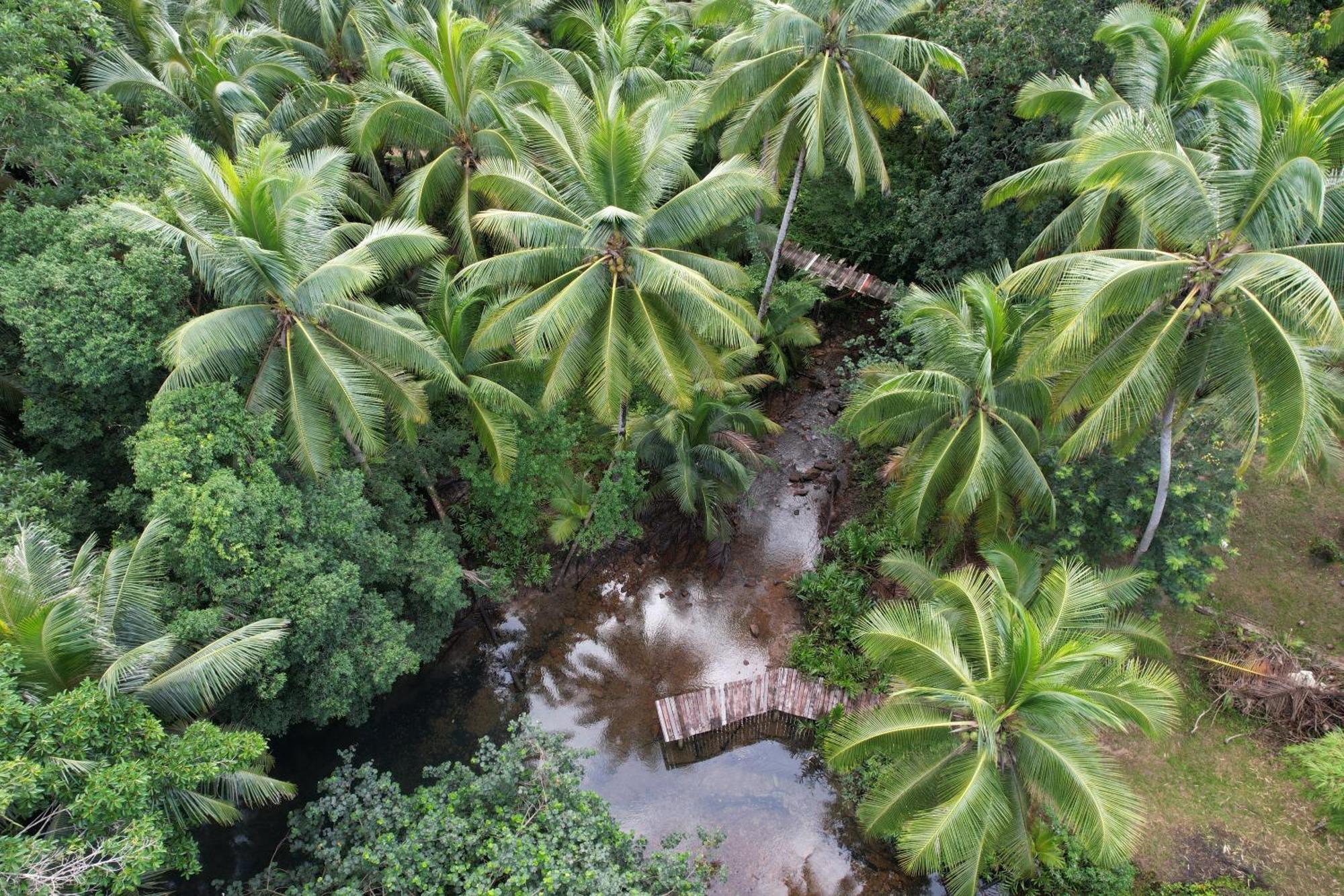 Forestel Homestay Kohkood ฟอเรสเทล โฮมสเตย์ เกาะกูด Ban Khlong Chao Exterior photo